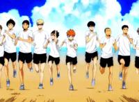 继《灌篮高手》之后，横空出世的运动神番——《排球少年！》