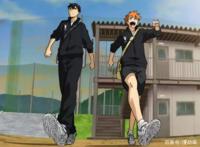 最纯粹运动番《排球少年》，不卖萌不卖肉，只有努力向前冲的热血