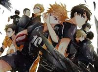 最受推荐的青春励志向动漫之一——《排球少年！》