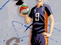 超燃动漫《排球少年！》：你想要的排球少年，这里都有