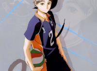 超燃动漫《排球少年！》：你想要的排球少年，这里都有