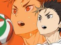 在动漫《排球少年》中，日向最后和谁组队了？