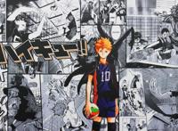 《排球少年！》在排球日登上热搜，体育漫画最后的辉煌