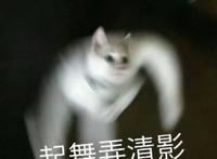 不那么广为人知的沙雕搞笑动漫推荐，让你笑到头掉