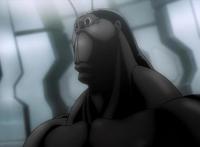 “南方蟑螂”与“北方蟑螂”有啥区别？网友用动漫做了个对比