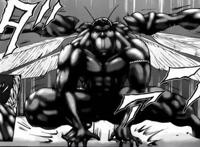 “南方蟑螂”与“北方蟑螂”有啥区别？网友用动漫做了个对比