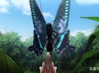 《巨虫列岛》剧场版近日上映，巨大昆虫袭击人类，女孩们奋起反抗