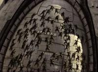 反思《火星异种》：科技发展到极限之后，人类是否还能保持初衷？