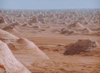 由火星异种联想到蟑螂惊人的身体素质和繁殖力