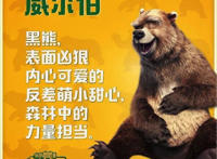 十月最佳亲子片《我的爸爸是森林之王》发动物图鉴有爱指数爆表媲美《疯狂动物城》