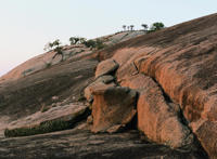 《魔发精灵2》动漫电影解说文字版