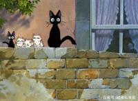 动漫迷最想养哪只小可爱当宠物皮卡丘竟然没有排第一