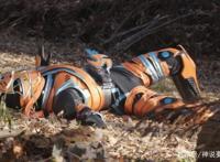 假面骑士忍者完结解读：妹控拯救世界2022年史努比骑士战队预订