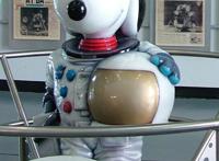 你想给孩子看的那些漫画书里，有没有讲到这只世界上最著名的狗？