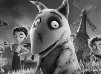 看过这五部关于狗狗的动漫电影举手手