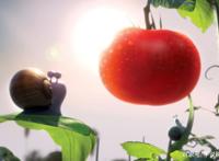 极速蜗牛：为了爱与梦想不断挑战自己，蜗牛也能跑的飞快