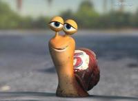 极速蜗牛，一只开挂了的蜗牛，一段小人物的追梦之路！