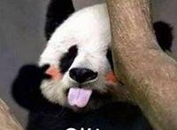 高考完有什么值得看的电影或电视剧？