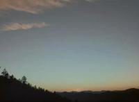 《昆虫总动员2》：故事并不复杂，更像是一个童话