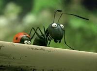 《昆虫总动员2》：故事并不复杂，更像是一个童话