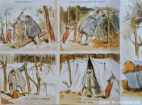 《艾特熊和赛娜鼠》诠释理想的亲子关系状态：是父非父，是友非友