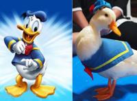 二次元角色来到现实生活，海绵宝宝不再可爱，蓝精灵依然人见人爱