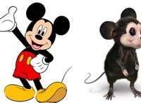 二次元角色来到现实生活，海绵宝宝不再可爱，蓝精灵依然人见人爱