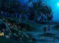 电影解说｜《了不起的菲丽西》