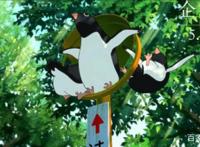 夏日男孩成长记，小男孩和成年大姐姐的恋爱？只有日本敢这么拍