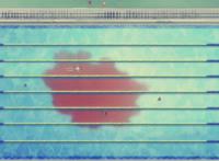 动漫女装哪家强？木下秀吉和有川，简直是画女硬说男，离了个大谱