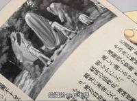 世界尽头咏唱：猥琐大叔认儿女，神奈有着不会变老的属性设定