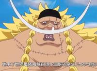 海贼王：动画890集，不死鸟马尔科现身，黑胡子吞噬之力迎全敌