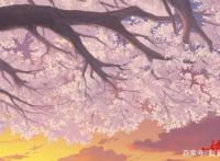 《镇魂街》官方诚挚道歉，宣布第二季重制修改！败笔究竟在哪？