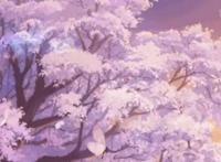 《镇魂街2》第一集，每一秒经费都在燃烧，等三年完全不亏