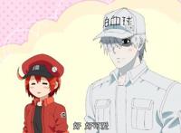 动漫：当你得知你体内的血小板是小萝莉的时候：别拦我见我老婆！