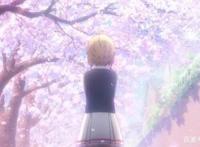 魔卡少女樱第二季透明牌篇小樱重逢小狼后居然一起转行贴膜