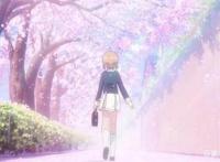 魔卡少女樱第二季透明牌篇小樱重逢小狼后居然一起转行贴膜