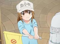 七月新番：三大异世界穿越爽片，overload称霸，血小板太萌了！