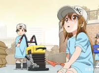 萌即是正义！7月新番日本销量出炉，除了《工作细胞》全部暴死！