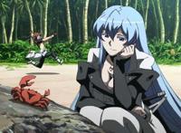 动漫：为大佬们献上一波后宫番，都是经典！