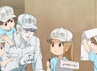 万物皆可拟人，这些物质变成人的动漫，你都知道吗？