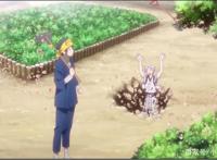 今日份动漫推荐：刀剑乱舞