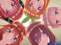 《五等分的花嫁》第二季落幕，结局属于三玖党，风哥并未做出选择