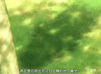 推番：懒到可爱的人，田中君总是如此慵懒