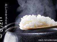 舌尖上的食戟之灵鸡蛋拌饭与辣味刺鼻的海南鸡饭真让人欲罢不能