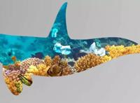 双语｜趣味动漫｜应对海洋塑料污染，BBC英语大破解