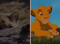 奥斯卡评选2019最好的5部电影，拯救被困在家的你！