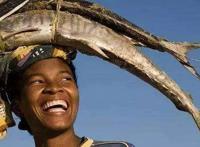 双语｜特工／动漫／非洲的“绿色长城”，BBC英语大破解