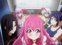 这些经典的校园后宫番你都看了吗