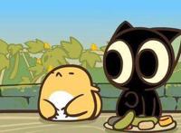 补番攻略，快来看看有没有合你胃口的动漫吧